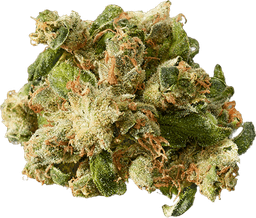 East Coast Sour Diesel